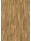 ДУБ NATURAL 3S