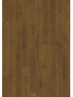ДУБ 4 STORY 138 BURNT SIENNA