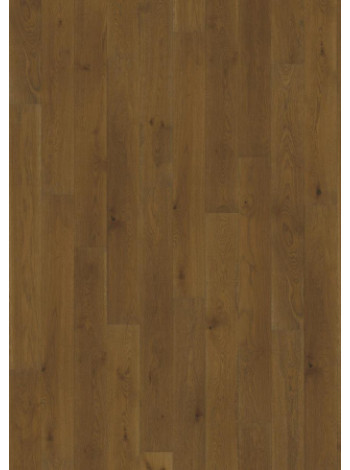 ДУБ 4 STORY 138 BURNT SIENNA