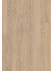 ДУБ STORY 138 NATUR VANILLA MATT